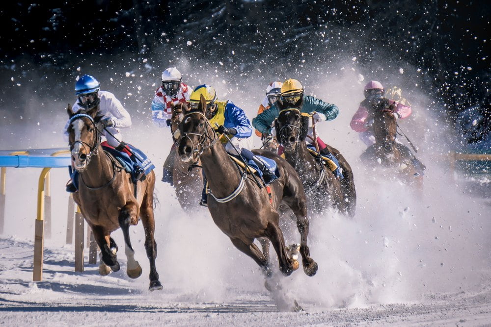 Svensk galopp – banor, storlopp och läget i dag