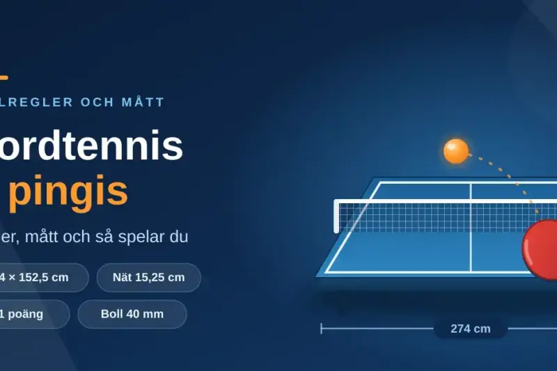 Illustration av ett blått bordtennisbord med nät, racket och orange boll, med texten "Bordtennis & pingis – regler, mått och så spelar du" samt måtten 274 × 152,5 cm och nät 15,25 cm.